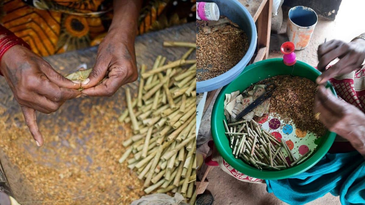 बीड़ी पर GST घटा, बिहार को लेकर मचा बवाल, जानें हर रोज कितना प्रोडक्शन और कहां ज्यादा खपत बीड़ी पर GST घटा, बिहार को लेकर मचा बवाल, जानें हर रोज कितना प्रोडक्शन और कहां ज्यादा खपत