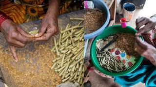 बीड़ी पर GST घटा, बिहार को लेकर मचा बवाल, जानें हर रोज कितना प्रोडक्शन और कहां ज्यादा खपत