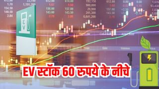 EV स्टॉक बना मल्टीबैगर, भाव ₹60 से कम, स्वदेशी पर कंपनी का फोकस, FII भी लट्टू!