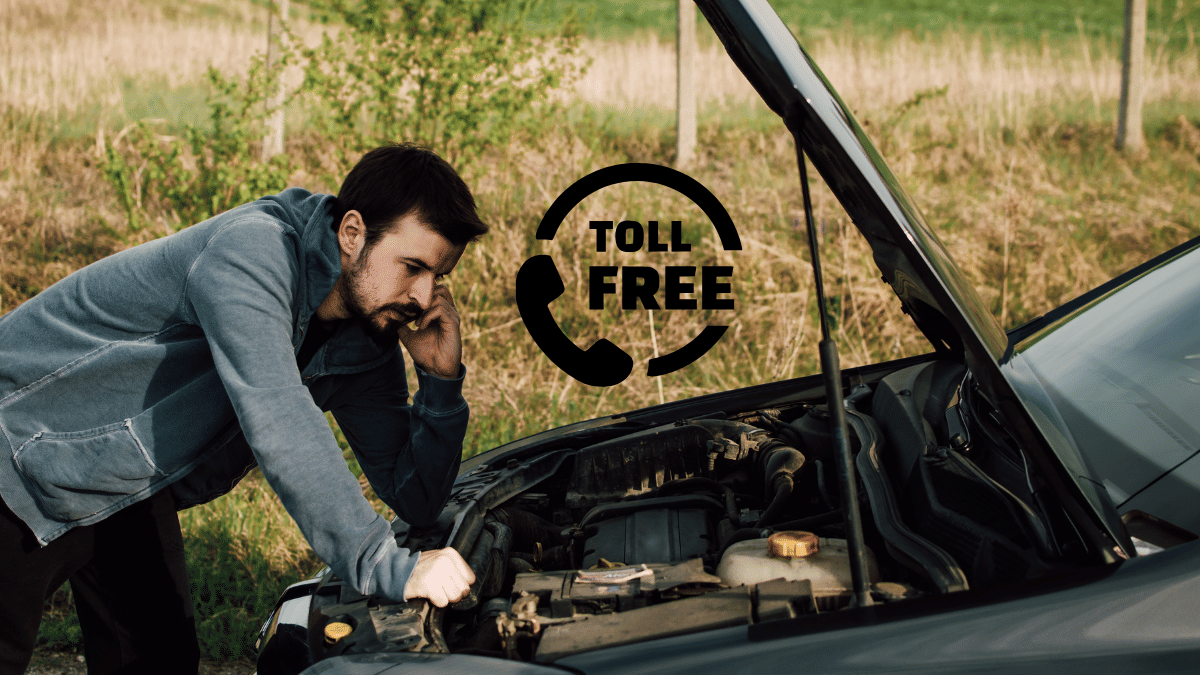 नेशनल हाईवे-पूर्वांचल-आगरा लखनऊ एक्सप्रेस वे पर आ जाए मुसीबत, तो इस टोल फ्री हेल्पलाइन नंबर पर तुरंत करें कॉल नेशनल हाईवे-पूर्वांचल-आगरा लखनऊ एक्सप्रेस वे पर आ जाए मुसीबत, तो इस टोल फ्री हेल्पलाइन नंबर पर तुरंत करें कॉल