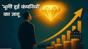 जिन स्टॉक्स का छोड़ा निवेशकों ने साथ, वही निकले असली हीरे; देखें कैसे भूली हुई कंपनियां कर रही जादू जिन स्टॉक्स का छोड़ा निवेशकों ने साथ, वही निकले असली हीरे; देखें कैसे भूली हुई कंपनियां कर रही जादू
