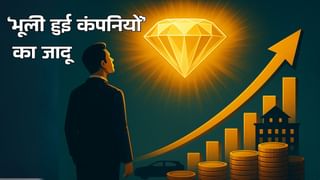 जिन स्टॉक्स का छोड़ा निवेशकों ने साथ, वही निकले असली हीरे; देखें कैसे भूली हुई कंपनियां कर रही जादू