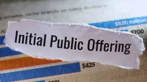 इस साल इन 5 SME IPO का रहा दबदबा, निवेशकों की संपत्ति कर दी दोगुनी, क्या आपने भी लगाया था दांव!