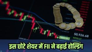 इस कंपनी को मिला ₹4427992121 का ऑर्डर, शेयर भाव ₹15 से कम, विदेशी निवेशकों ने बढ़ाई होल्डिंग