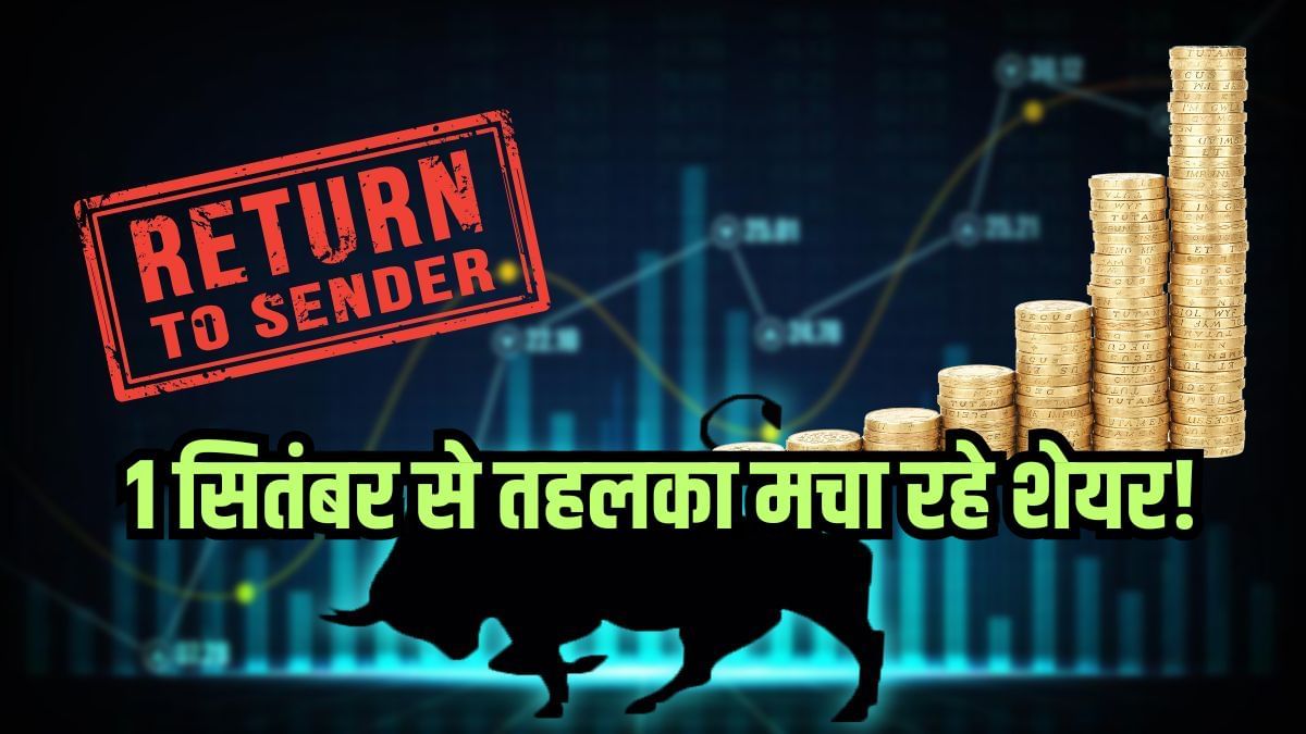 1 सितंबर से झंडा गाड़ रहे ये 2 शेयर, डेढ़ गुना कर दिया पैसा, Digital India का मिल रहा सपोर्ट!