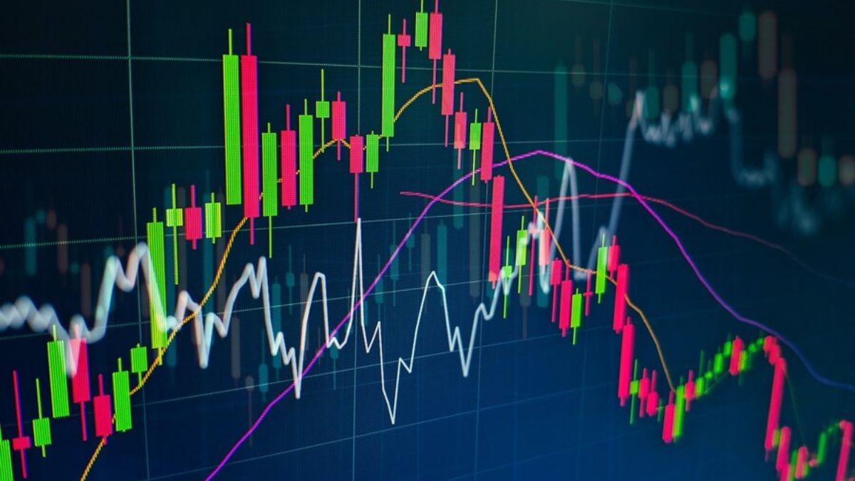 Stocks To Watch: NHPC, BHEL, Torrent Power समेत फोकस में रहेंगे ये शेयर, इंट्राडे में दिखेगा तगड़ा एक्शन! Stocks To Watch: NHPC, BHEL, Torrent Power समेत फोकस में रहेंगे ये शेयर, इंट्राडे में दिखेगा तगड़ा एक्शन!