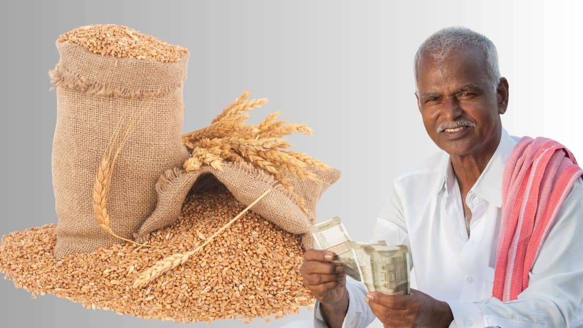 80 करोड़ लोगों को अनाज देने की फिक्र में सरकार लेगी बड़ा फैसला? सरकार ने क्यों रोका गेहूं का एक्सपोर्ट 80 करोड़ लोगों को अनाज देने की फिक्र में सरकार लेगी बड़ा फैसला? सरकार ने क्यों रोका गेहूं का एक्सपोर्ट