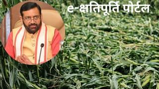 हरियाणा में 1.69 लाख किसानों ने कराया फसल नुकसान का क्लेम, जानें कैसे करें e-क्षतिपूर्ति पोर्टल पर रजिस्ट्रेशन