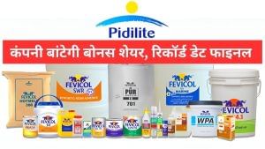 फेविकोल बनाने वाली कंपनी बांटेगी बोनस, 1 पर 1 शेयर मिलेगा मुफ्त, ये है रिकॉर्ड डेट, स्‍टॉक में दिख सकती है हलचल