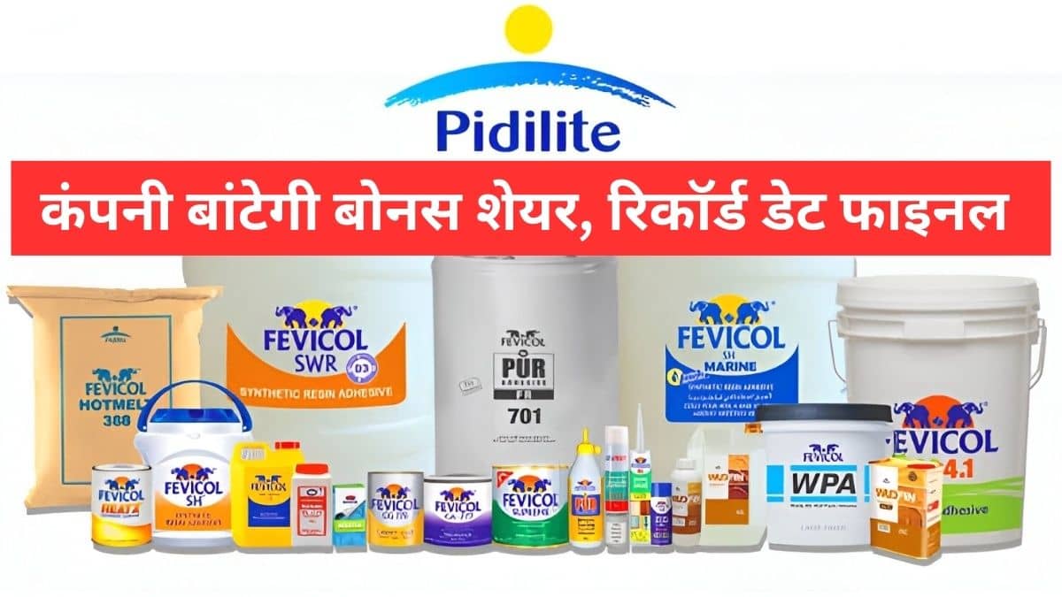 फेविकोल बनाने वाली कंपनी बांटेगी बोनस, 1 पर 1 शेयर मिलेगा मुफ्त, ये है रिकॉर्ड डेट, स्टॉक में दिख सकती है हलचल फेविकोल बनाने वाली कंपनी बांटेगी बोनस, 1 पर 1 शेयर मिलेगा मुफ्त, ये है रिकॉर्ड डेट, स्टॉक में दिख सकती है हलचल