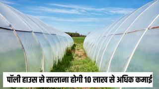 न मिले नौकरी तो 1 एकड़ में लगाएं पॉली हाउस, सालाना होगी 10 लाख से अधिक कमाई, जानें कितना आता है खर्च