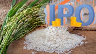 बासमती चावल बेचने वाली कंपनी लाएगी IPO, SEBI ने दी हरी झंडी; 500 करोड़ जुटाने का लक्ष्य