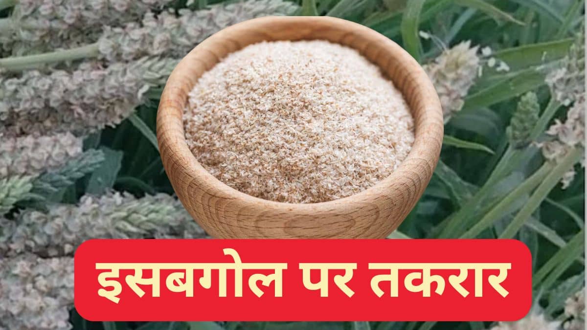 पॉपकॉर्न के बाद अब इसबगोल पर बवाल, GST 2.0 में फंसा पेंच; जानें क्या है पूरा माजरा पॉपकॉर्न के बाद अब इसबगोल पर बवाल, GST 2.0 में फंसा पेंच; जानें क्या है पूरा माजरा