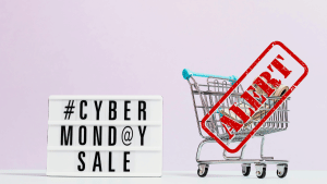Online Shopping पर सकती है भारी, फेक ई-कॉमर्स वेबसाइट के जरिए ठगी, इन टिप्स को फॉलो कर रहें सेफ Online Shopping पर सकती है भारी, फेक ई-कॉमर्स वेबसाइट के जरिए ठगी, इन टिप्स को फॉलो कर रहें सेफ