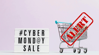 Online Shopping पर सकती है भारी, फेक ई-कॉमर्स वेबसाइट के जरिए ठगी, इन टिप्स को फॉलो कर रहें सेफ