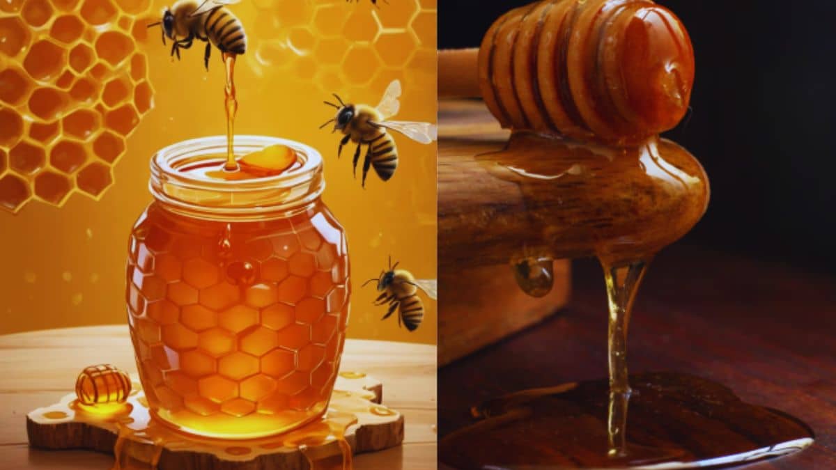 ये हैं दुनिया की 5 सबसे फेमस हीलिंग हनी, नेचुरल मेडिसिन का करती है काम; खरीदते समय ऐसे करें पहचान ये हैं दुनिया की 5 सबसे फेमस हीलिंग हनी, नेचुरल मेडिसिन का करती है काम; खरीदते समय ऐसे करें पहचान