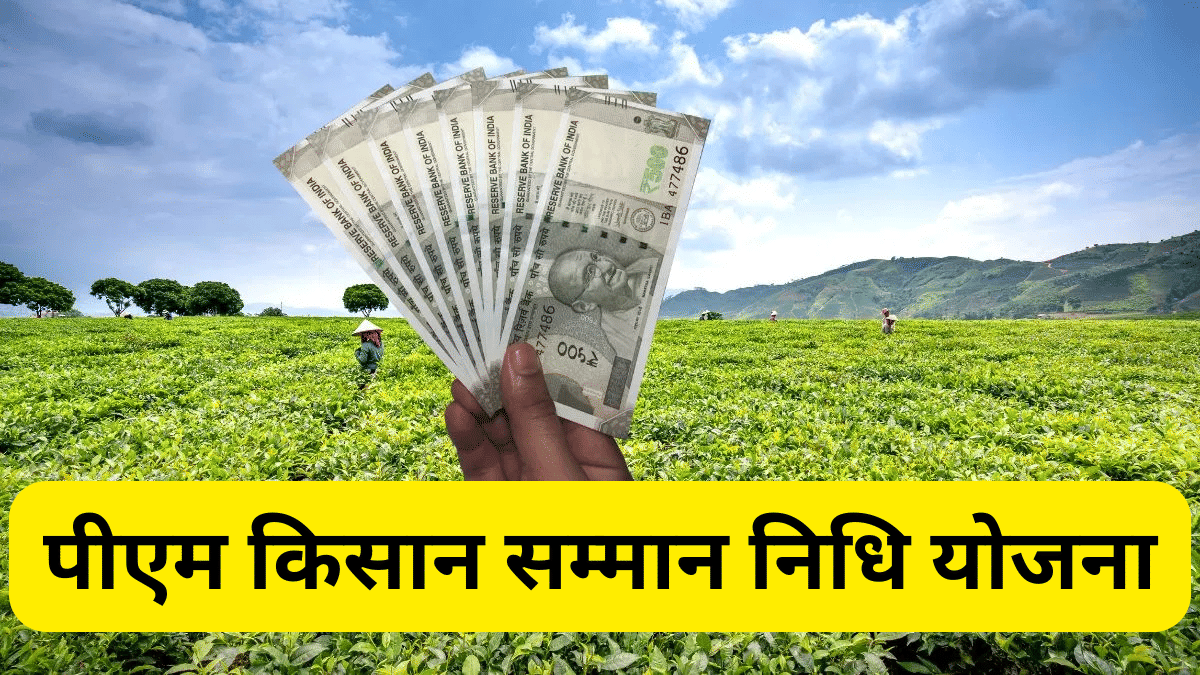 पति-पत्नी दोनों ले रहे एक ही स्कीम का लाभ! सरकार ने इस योजना के 31 लाख लाभार्थियों को माना ‘संंदिग्ध’ पति-पत्नी दोनों ले रहे एक ही स्कीम का लाभ! सरकार ने इस योजना के 31 लाख लाभार्थियों को माना ‘संंदिग्ध’