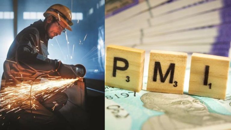 देश की ग्रोथ इंजन पड़ी धीमी, 6 महीने के लो पर पहुंचा फ्लैश PMI, फिर भी इकोनॉमी दमदार
