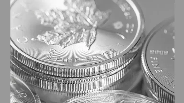 Silver ETF में निवेशकों का बदला मूड! दो साल बाद 826 करोड़ रुपये का दिखा आउटफ्लो, क्या रहा ट्रिगर