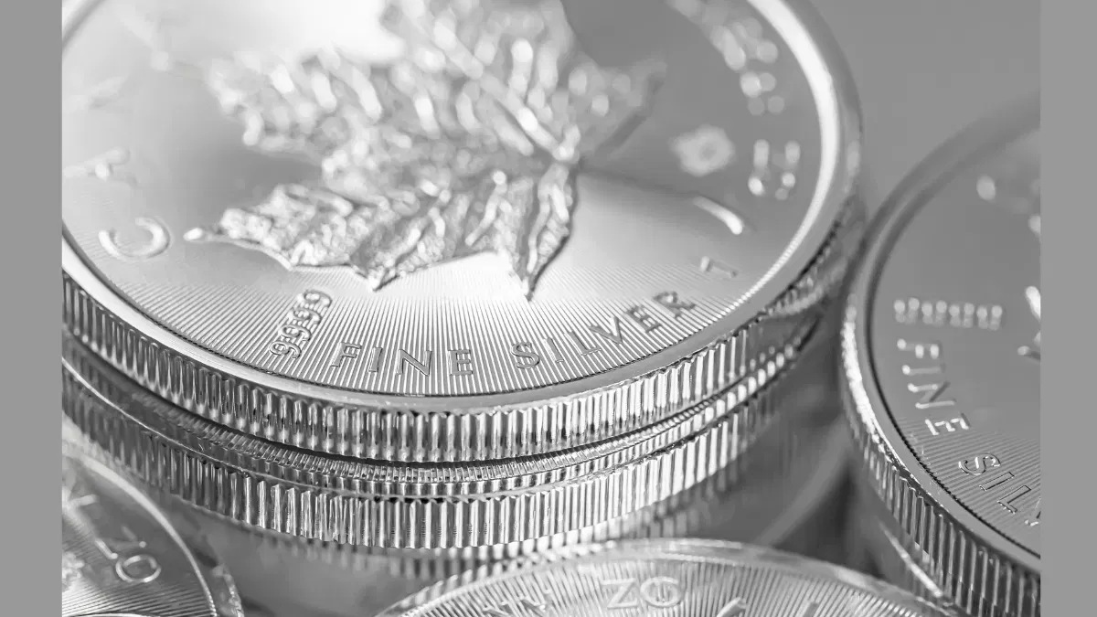 Silver ETF में निवेशकों का बदला मूड! दो साल बाद 826 करोड़ रुपये का दिखा आउटफ्लो, क्या रहा ट्रिगर