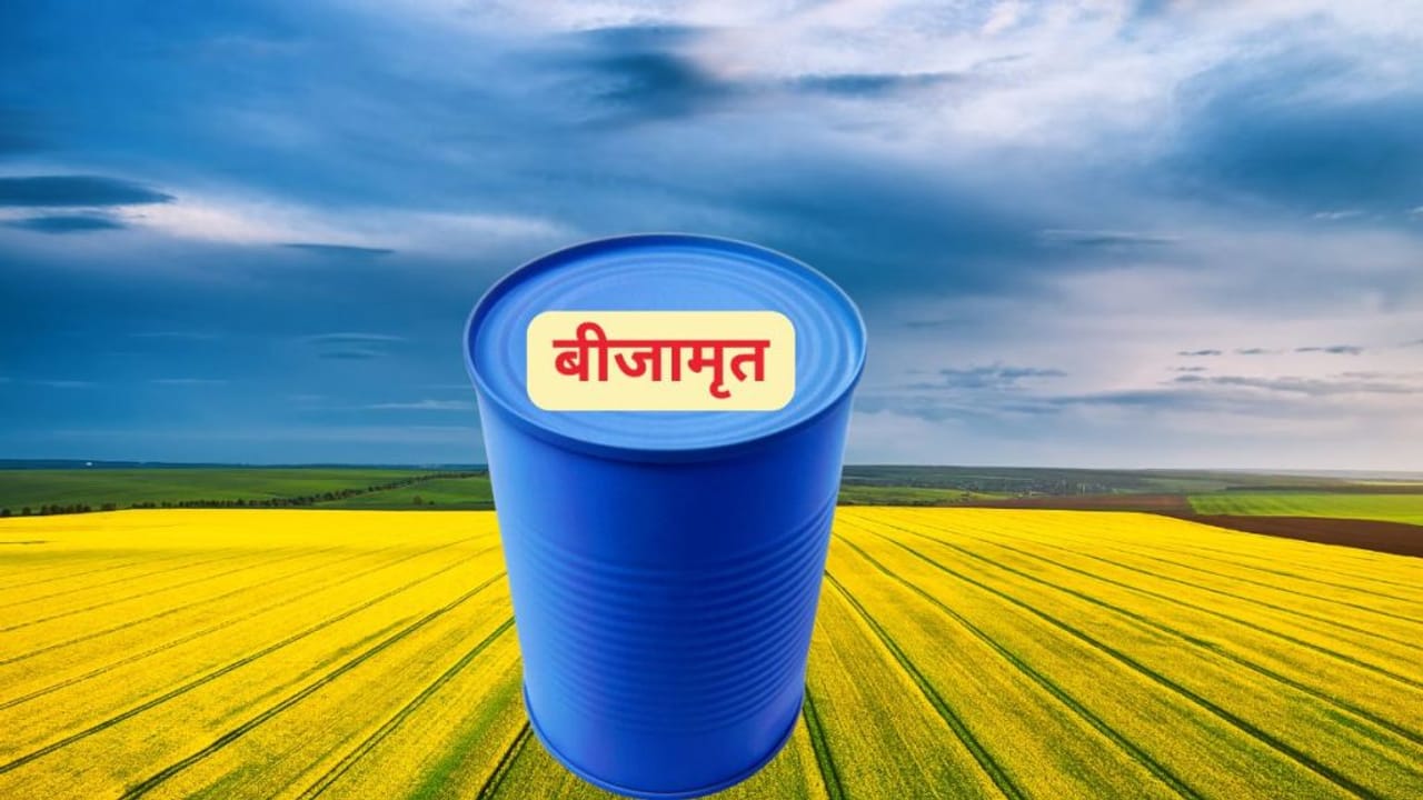 कम पानी, कम खर्च और ज्यादा उत्पादन, नेचुरल फार्मिंग के ये मूल मंत्र हैं बेहद कारगर; जानें पूरी प्रक्रिया