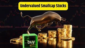 इन 3 अंडरवैल्यूड शेयरों में मौका! सस्ता है PE, डिविडेंड के मामले में आगे