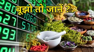 खूब करते हैं ट्रेडिंग, इस स्टॉक के बारे में जानते हैं क्या ?कंपनी बनाती है हर्बल प्रोडक्ट, दे चुकी है 3334% रिटर्न