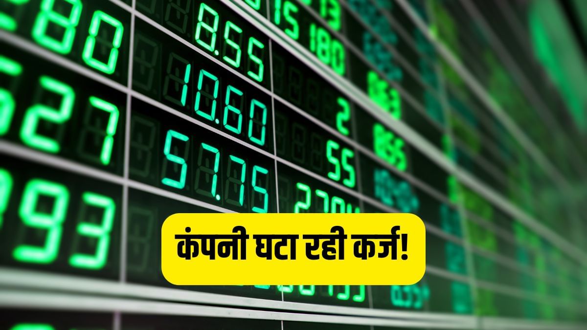 इस मल्टीबैगर स्टॉक पर विदेशी निवेशक फिदा, खरीदे करोड़ों शेयर, भाव ₹30 से कम, कंपनी घटा रही कर्ज