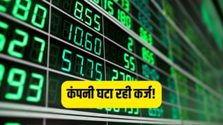 इस मल्टीबैगर स्टॉक पर विदेशी निवेशक फिदा, खरीदे करोड़ों शेयर, भाव ₹30 से कम, कंपनी घटा रही कर्ज