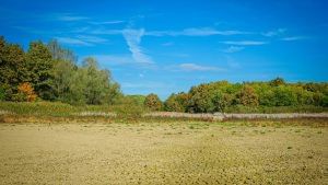 अब जमीन की लोकेशन और यूज से तय होगी सर्किल रेट, UP में लागू हुआ नया स्टैंडर्ड सिस्टम; पूरे प्रदेश में होगा एक जैसा नियम