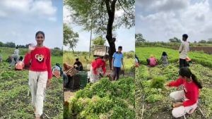 सिर्फ 30 दिनों में 16000 रुपये पर 1 लाख तक का मुनाफा! MP की इस लड़की ने खेती से किया कमाल
