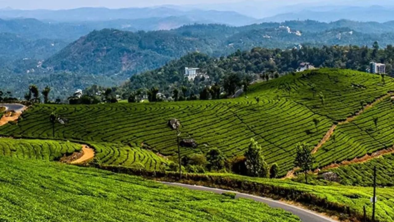 छुट्टियों में कहां जाएं? देश के ये 7 हिल स्टेशन हैं परफेक्ट