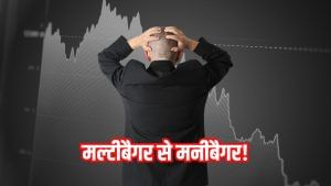 मल्टीबैगर से मनीबैगर! 1800% चढ़ा शेयर अब एक साल के निचले स्तर पर, FII-DII ने लगाया बड़ा दांव