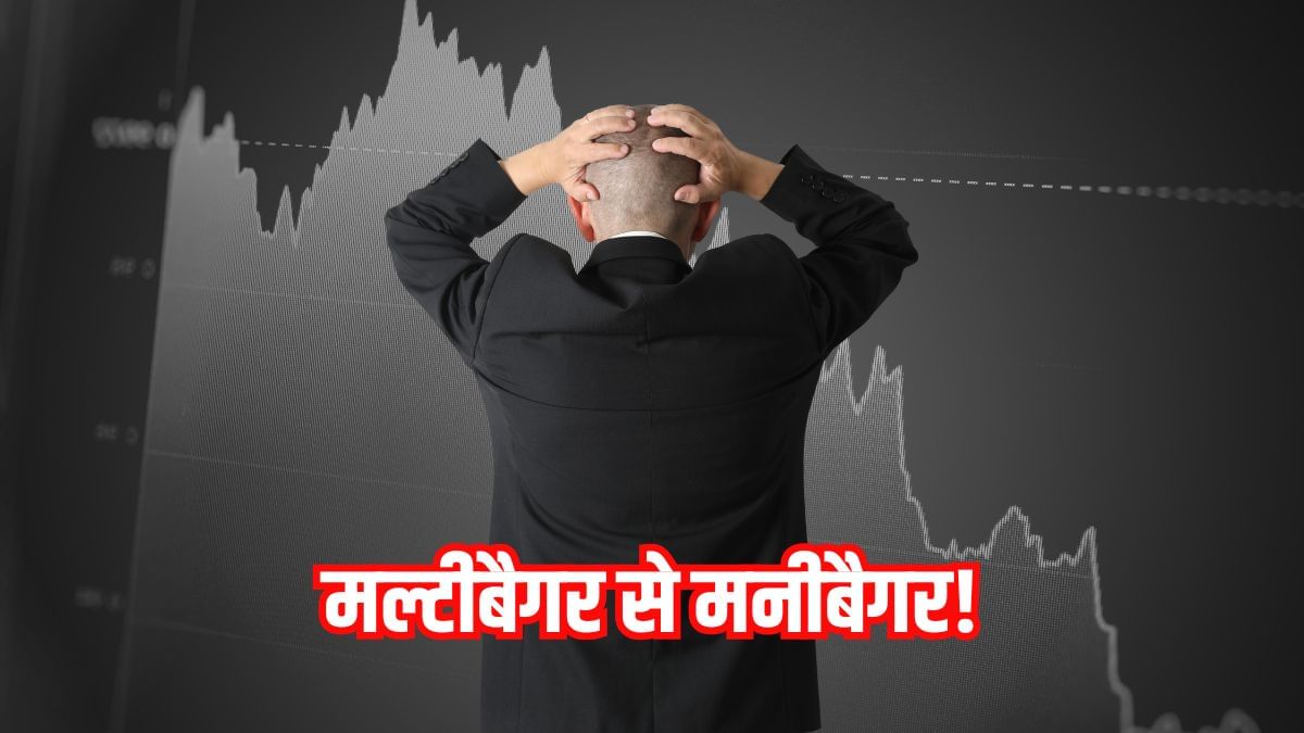 मल्टीबैगर से मनीबैगर! 1800% चढ़ा शेयर अब एक साल के निचले स्तर पर, FII-DII ने लगाया बड़ा दांव