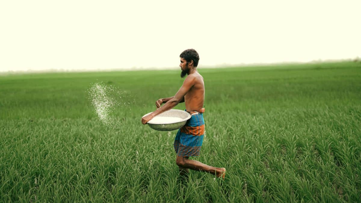 फिर किसानों के लिए कानून लाएगी मोदी सरकार! डीलर बेचेंगे नकली बीज तो होगी 3 साल की जेल, लगेगा 30 लाख जुर्माना फिर किसानों के लिए कानून लाएगी मोदी सरकार! डीलर बेचेंगे नकली बीज तो होगी 3 साल की जेल, लगेगा 30 लाख जुर्माना