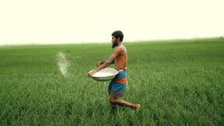 फिर किसानों के लिए कानून लाएगी मोदी सरकार! डीलर बेचेंगे नकली बीज तो होगी 3 साल की जेल, लगेगा 30 लाख जुर्माना