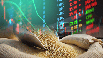 5 साल में 1245% रिटर्न, सोमवार को एक बार फिर निवेशकों के रडार पर रहेगा यह मल्टीबैगर शेयर; कंपनी ने दिया नया अपडेट