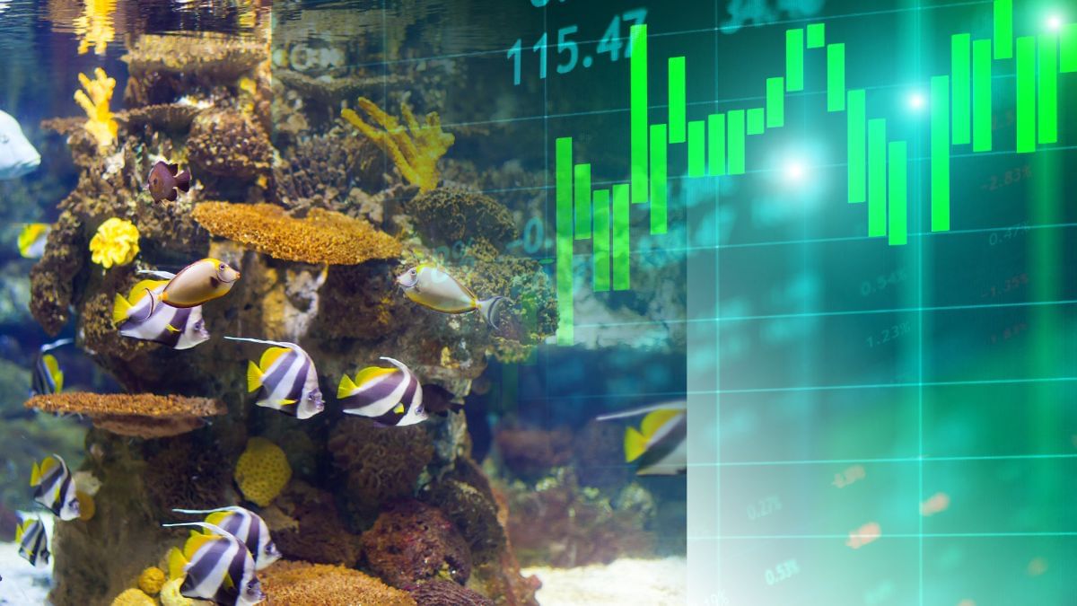 कंपनी को मार्केट वैल्यू से मिला 653% बड़ा ऑर्डर, बनाएगी देश का पहला AI एक्वा पार्क; धड़ाधड़ बिकने लगे शेयर