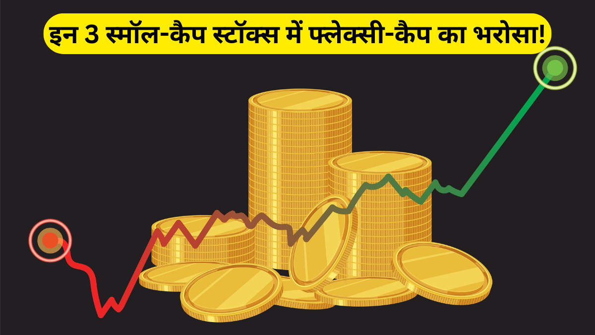 ये तीन स्मॉल-कैप स्टॉक्स बने Flexi-Cap Funds की पसंद, दिखाया एकमत भरोसा; जानें कौन हैं ये कंपनियां