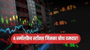 इन 4 स्मॉलकैप स्टॉक्स का ग्रोथ दमदार, अलग-अलग सेक्टर में इनका नाम, फ्यूचर प्लान शानदार!