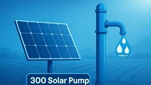 इस कंपनी को मिला 300 सोलर वाटर पंप का सरकारी ठेका, 2 महीने में होगी डिलिवरी; जानें कैसा है शेयर का हाल