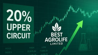 बोनस और स्टॉक स्प्लिट चर्चा की खबर से टूट पड़े निवेशक, 20% का लगा अपर सर्किट; रखें नजर