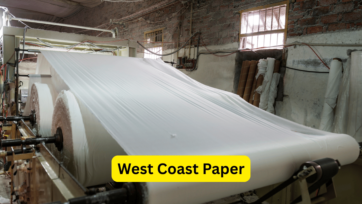 West Coast Paper: 0.8x बुक वैल्यू पर ट्रेड कर रहा भारत का सबसे अंडरवैल्यूड मैन्युफैक्चरिंग स्टॉक? बन सकता है कमाई का मौका!
