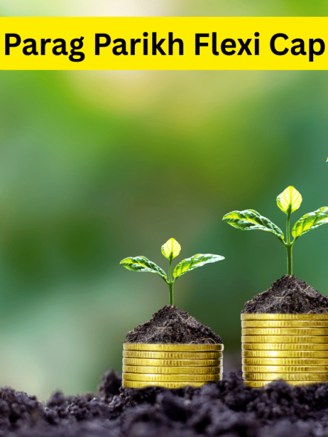 इन फ्लेक्सी कैप फंड्स का जलवा!