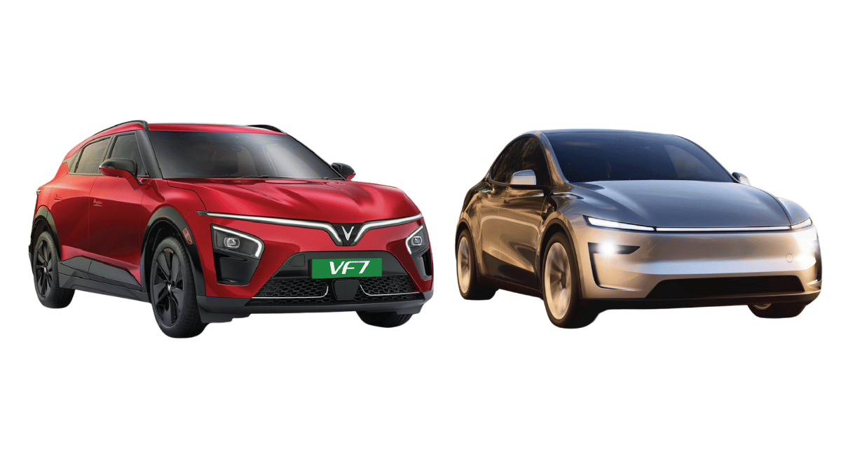 भारत में Vinfast से पिछड़ गई Tesla! एक महीने में बेच दी इतनी कारें, जितनी मस्क की कंपनी 4 माह में नहीं बेच पायी