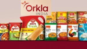 आज डेब्‍यू करेगी ये इडली-डोसा कंपनी, GMP करा रहा 1 लॉट पर ₹1320 की कमाई, जानें फंडामेंटल में कितना दम