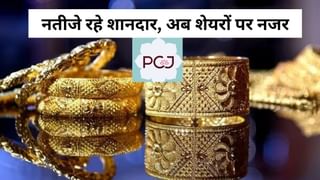 तेजी से कर्ज घटा रही ये नामी ज्‍वेलरी कंपनी, जल्‍द बनेगी डेट फ्री, मुनाफे में भी हुआ इजाफा, शेयर ने लगाई छलांग