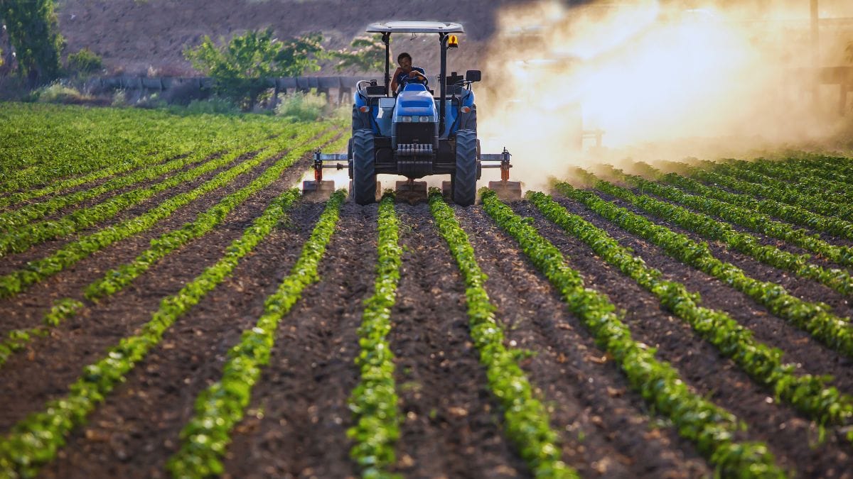 रिकॉर्ड फसल, अच्छी बारिश और GST में राहत, फिर भी क्यों परेशान हैं किसान; इस बीच सरकार ला रही है 2 कृषि कानून