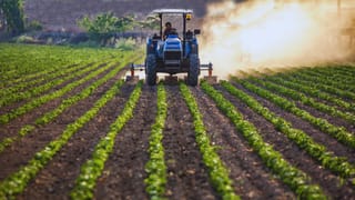 रिकॉर्ड फसल, अच्छी बारिश और GST में राहत, फिर भी क्यों परेशान हैं किसान; इस बीच सरकार ला रही है 2 कृषि कानून