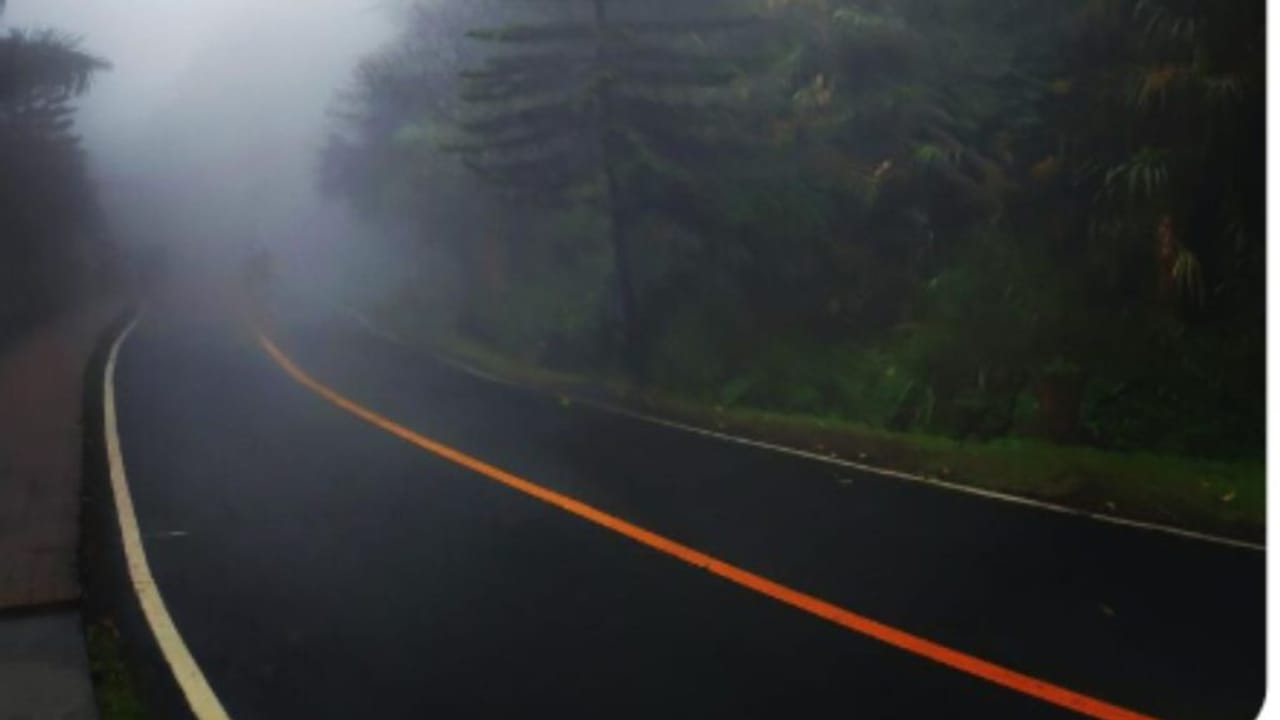 सर्दियों में फिर लौटा घना कोहरा, लंबी ड्राइव पर निकलने से पहले जानें 6 सेफ्टी टिप्स